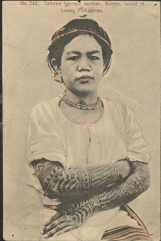 No. 242. Tattoed [Tattooed] Igorrote [Igorot] woman, Bontoc, Island of Luzon, Philippines.