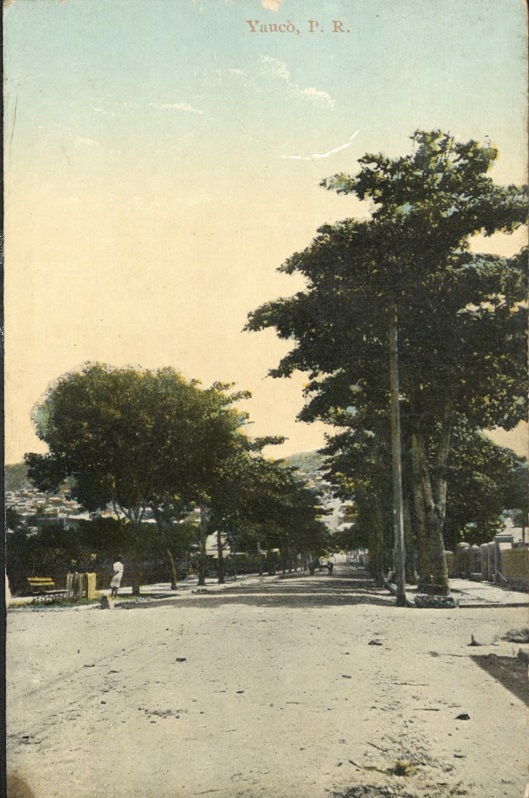 Yauc�, P. R.