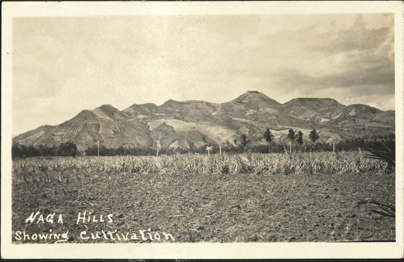 Naga Hills, Showing Cultivation.