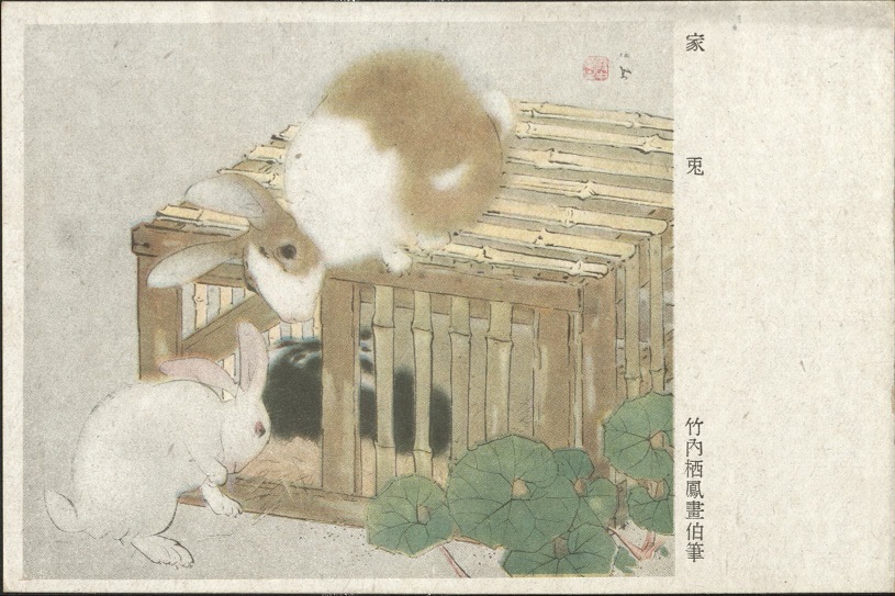 [Titled in Japanese characters ï¿½ Rabbits].