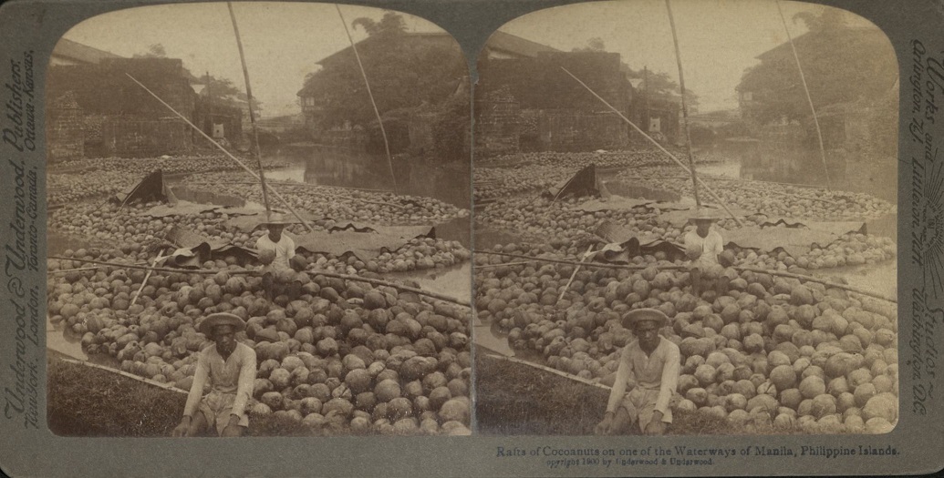 Rafts of Cocoanuts [coconuts] on one of the Waterways of Manila, Philippine Islands.