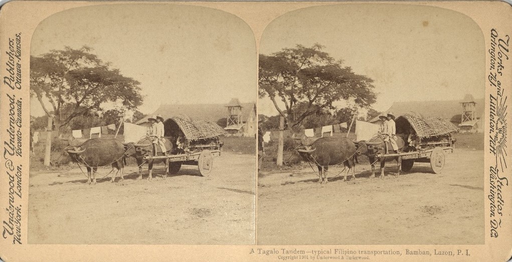 A Tagalo Tandem – typical Filipino transportation, Bamban, Luzon, P. I.