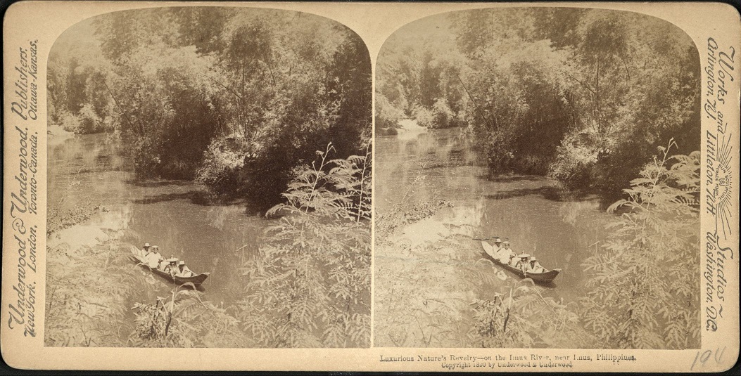 Luxurious Nature’s Revelry – on the Imus River, near Imus, Philippines.