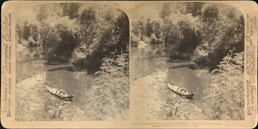 Luxurious Nature’s Revelry – on the Imus River, near Imus, Philippines.