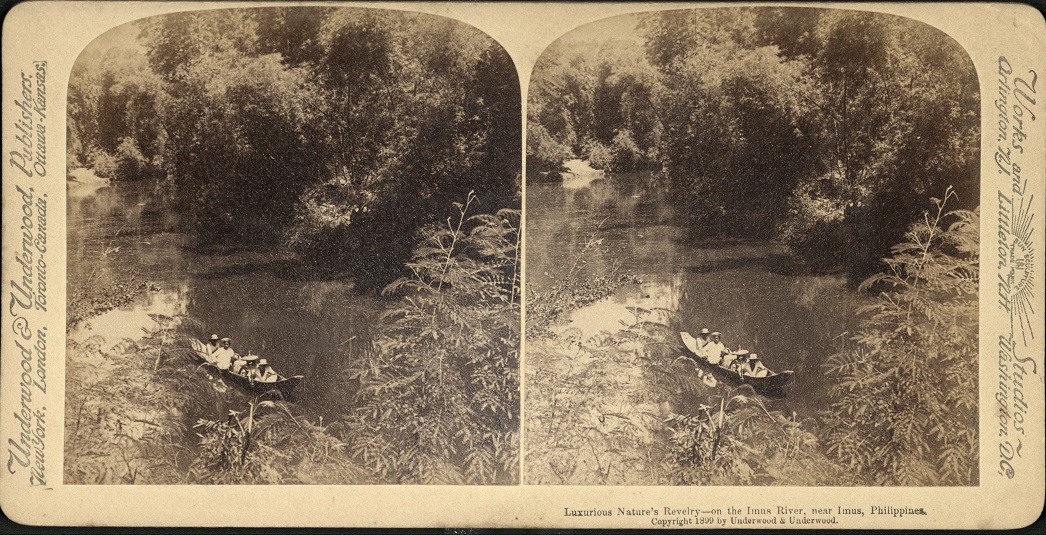 Luxurious Nature’s Revelry – on the Imus River, near Imus, Philippines.