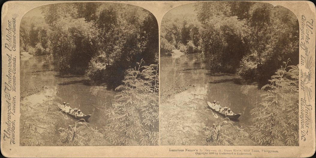 Luxurious Nature’s Revelry – on the Imus River, near Imus, Philippines.