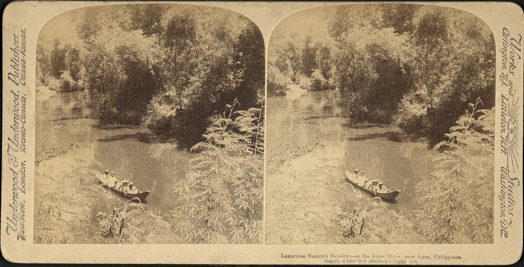 Luxurious Nature’s Revelry – on the Imus River, near Imus, Philippines.