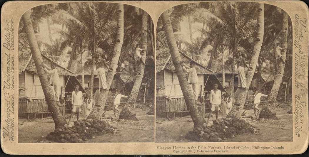 Visayan Homes in the Palm Forest, Island of Cebu, Philippine Islands.