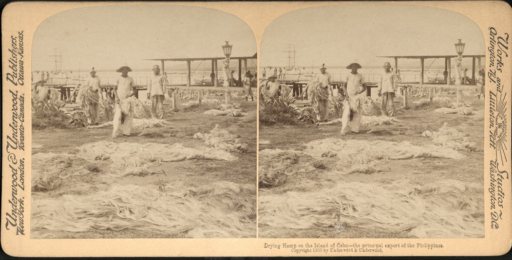 Drying Hemp on the Island of Cebu – the principal export of the Philippines.