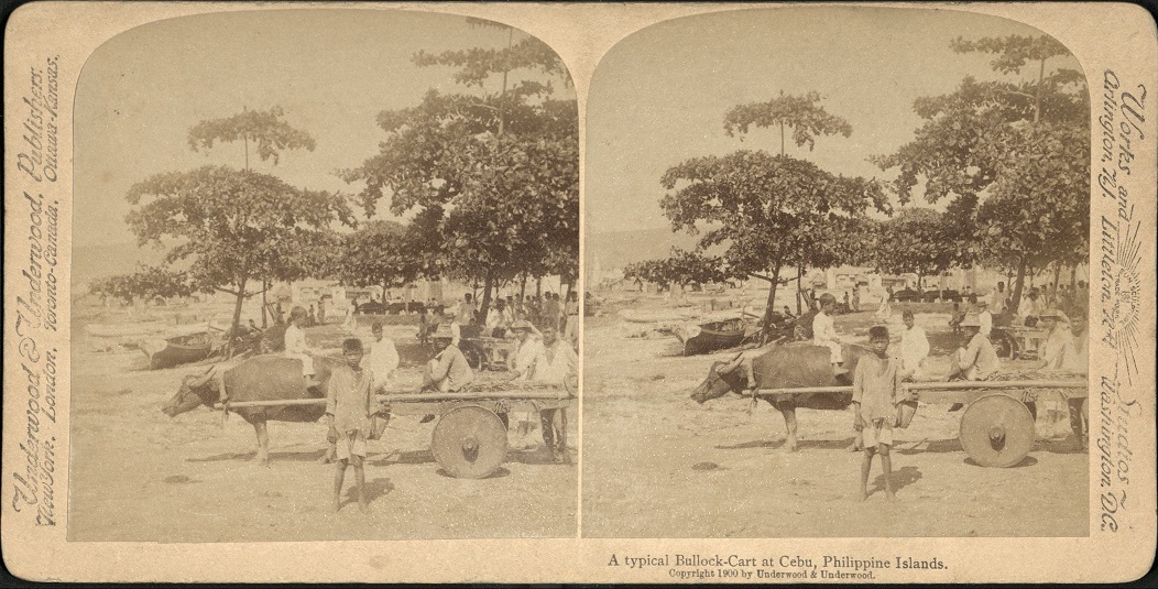 A typical Bullock-Cart at Cebu, Philippine Islands.