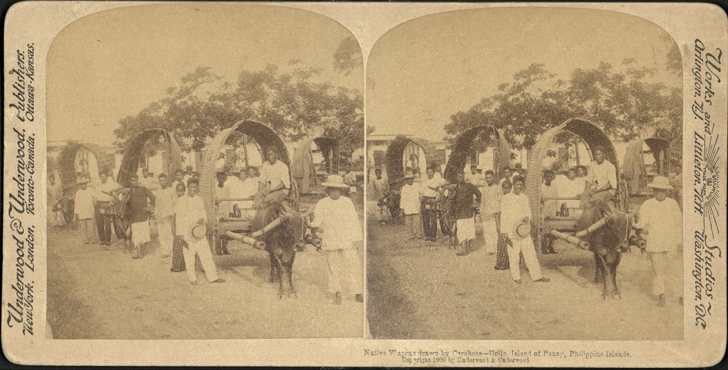 Native Wagons drawn by Caraboas [Carabaos] – Iloilo, Island of Panay, Philippine Islands.