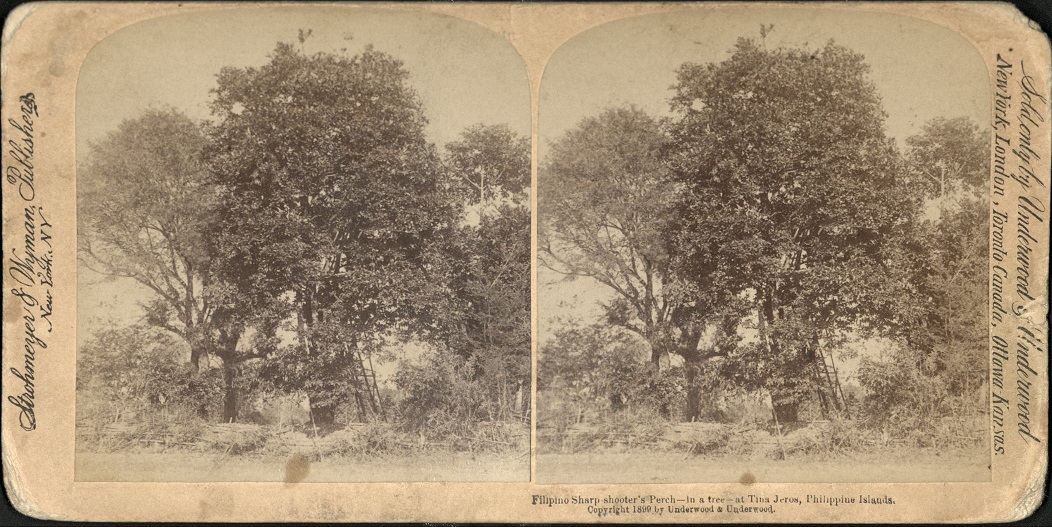Filipino Sharp shooter’s Perch – in a tree – at Tina Jeros, Philippine Islands.