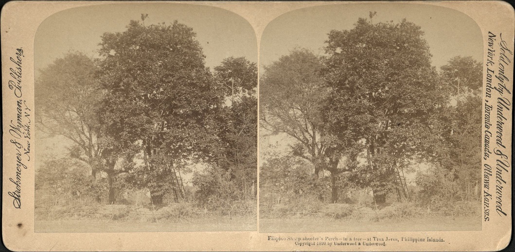 Filipino Sharp shooter’s Perch – in a tree – at Tina Jeros, Philippine Islands.