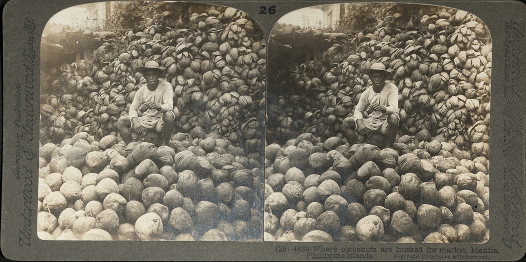 Where cocoanuts [coconuts] are husked for market, Manila, Philippine Islands.