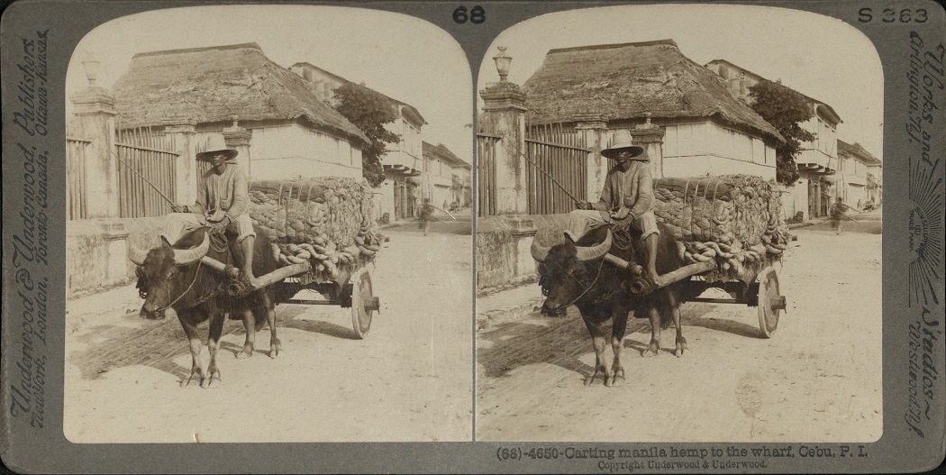 Carting Manila hemp to the wharf, Cebu, P. I.