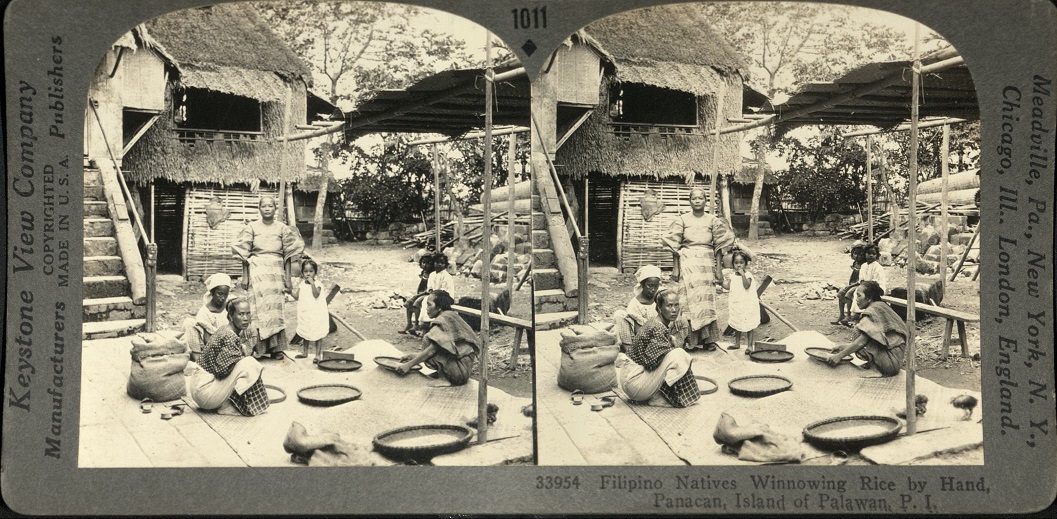 Filipino Natives Winnowing Rice by Hand, Panacan, Island of Palawan, P. I.