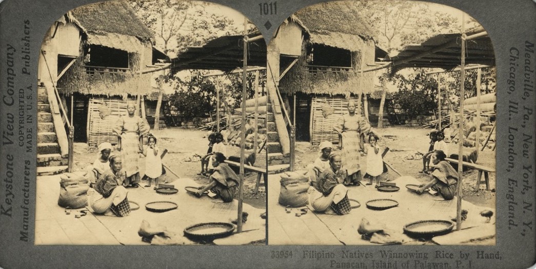 Filipino Natives Winnowing Rice by Hand, Panacan, Island of Palawan, P. I.