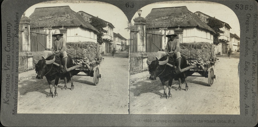 Carting manila hemp to the wharf, Cebu, P. I.