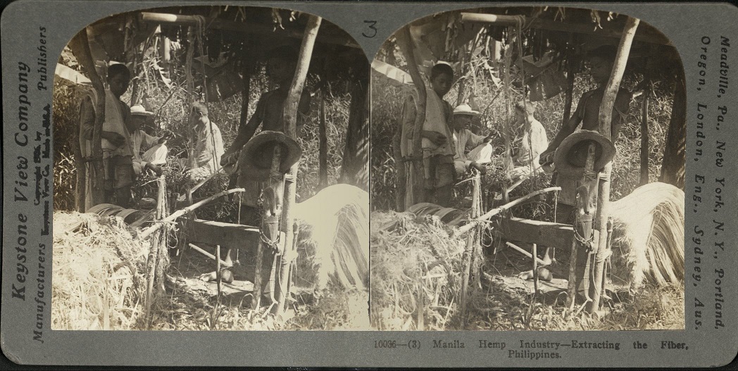 Manila Hemp Industry – Extracting the Fiber, Philippines.