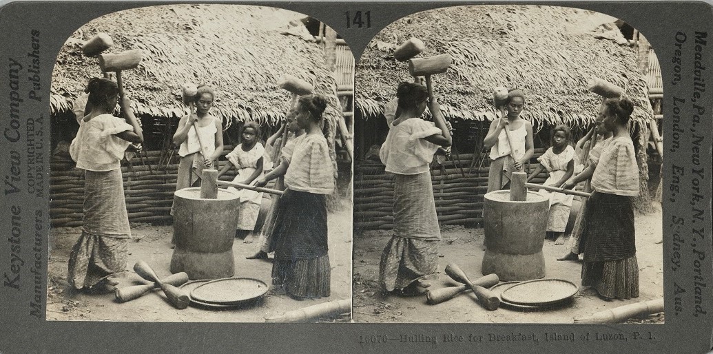 Hulling Rice for Breakfast, Island of Luzon, P. I.