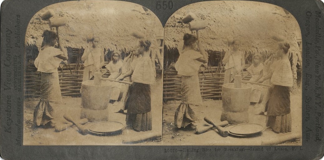 Hulling Rice for Breakfast, Island of Luzon, P. I.