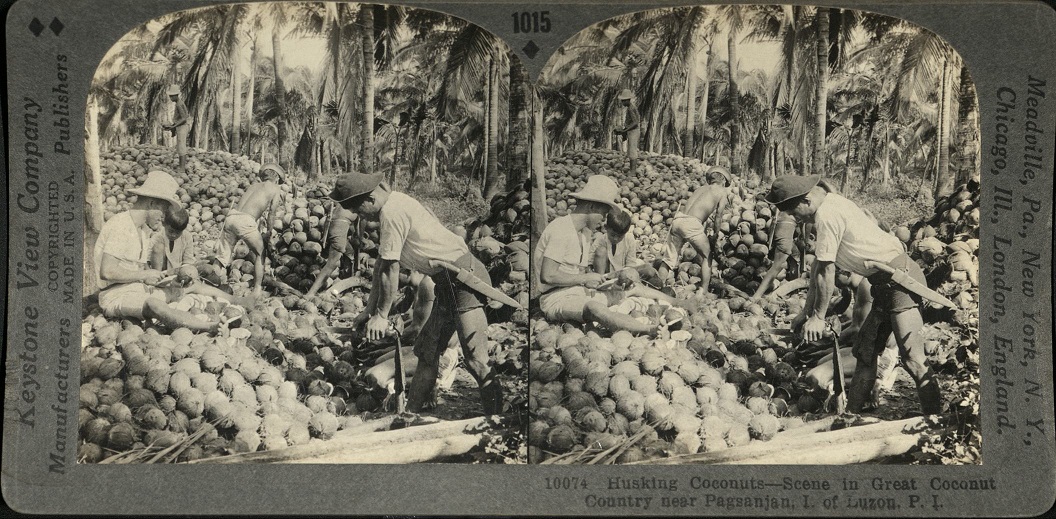 Husking Coconuts – Scene in Great Coconut Country near Pagsanjan, I. of Luzon, P. I.