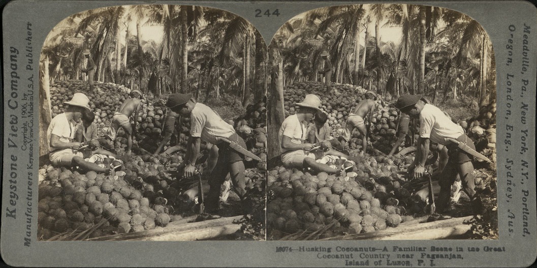 Husking Coconuts – A Familiar Scene in the Great Cocoanut [Coconut] Country near Pagsanjan, I. of Luzon, P. I.