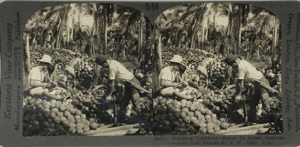Husking Coconuts – Scene in Great Coconut Country near Pagsanjan, I. of Luzon, P. I.