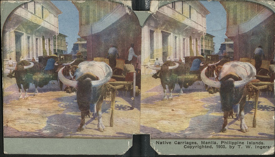 Native Carriages, Manila, Philippine Islands.