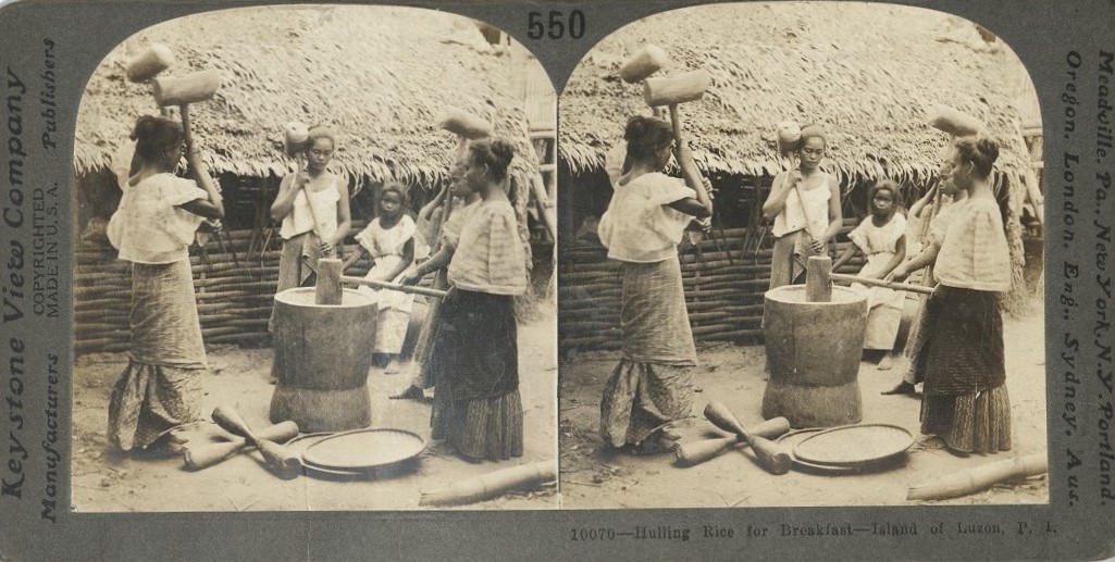 Hulling Rice for Breakfast, Island of Luzon, P. I.
